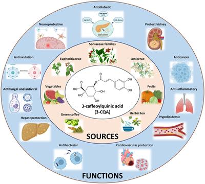 Development of an ic-CLEIA for precise detection of 3-CQA in herbs and patent medicines: ensuring quality control and therapeutic efficacy